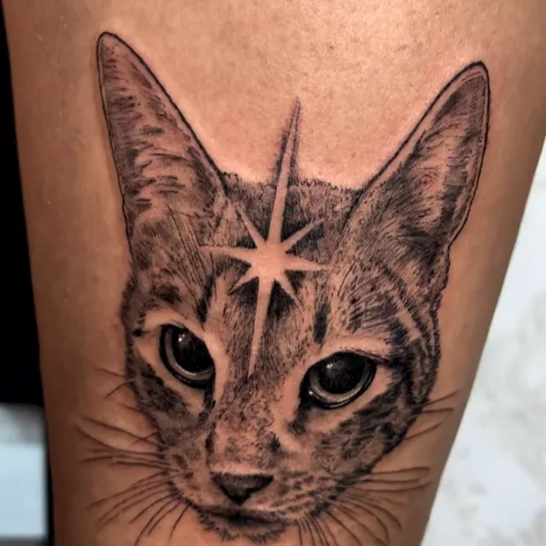 Gato realista con una estrella en la frente, en el muslo